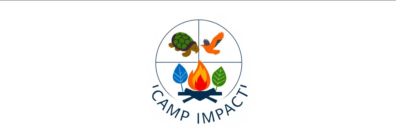 Camp Impact logo with circular arrows and nature icons in vibrant colors